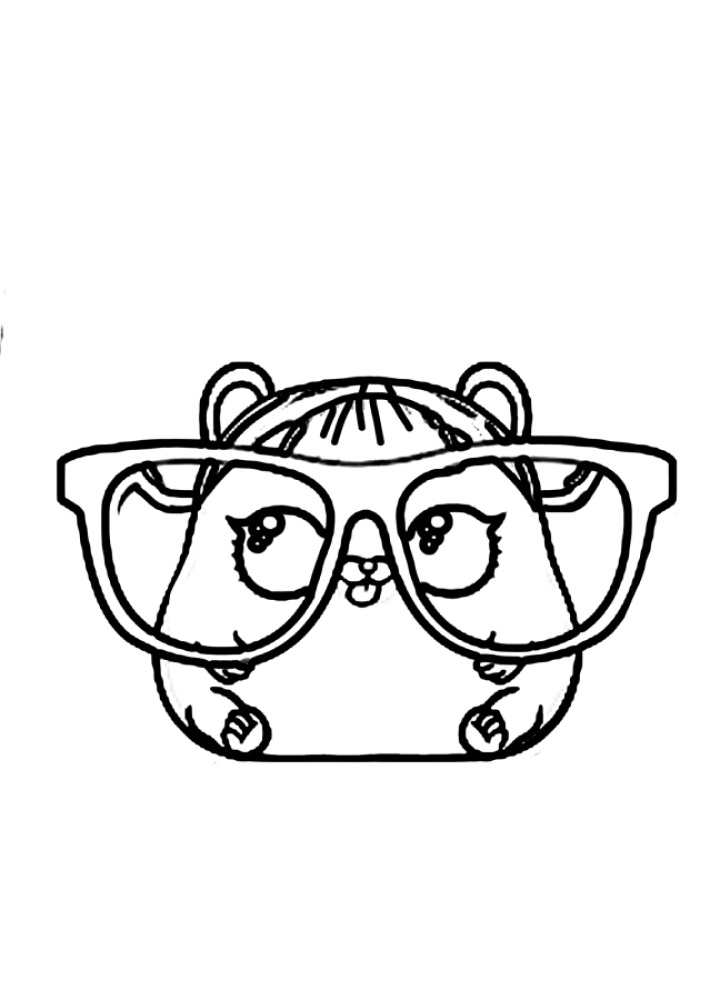 Coloring page Pet Hamster Print